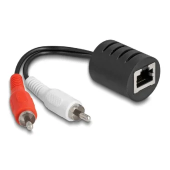 DeLock Μετατροπέας RCA 2x male σε RJ-45 female 2τμχ 87857