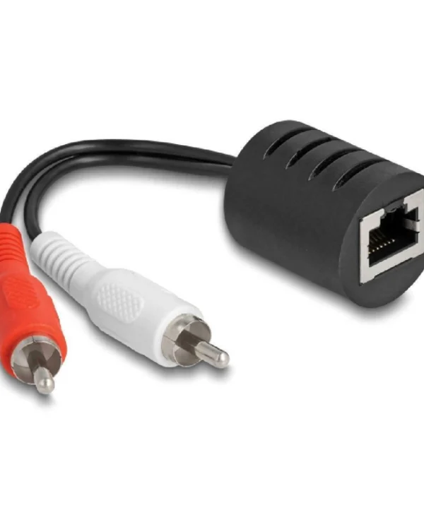 DeLock Μετατροπέας RCA 2x male σε RJ-45 female 2τμχ 87857