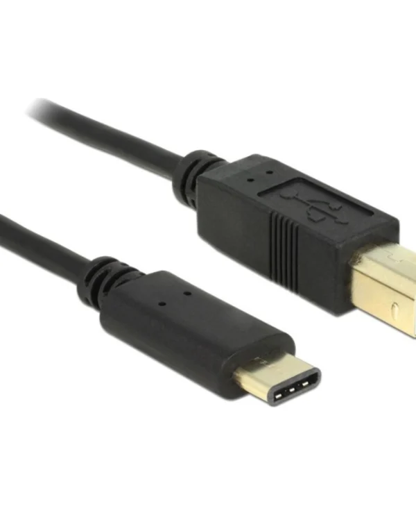 DeLock USB 2.0 Cable USB-C male - USB-B Μαύρο 2m (83330)