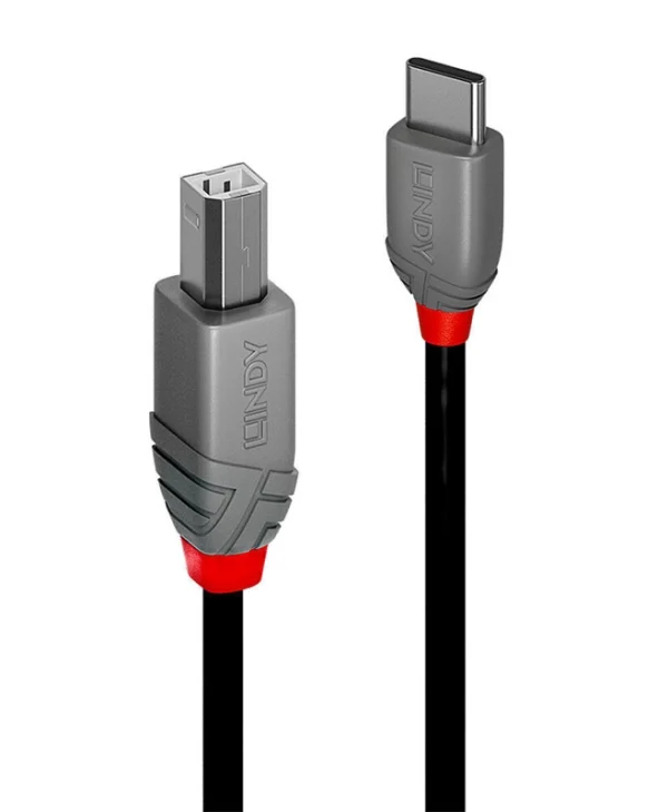 Lindy USB 2.0 Cable USB-C male - USB-B Μαύρο 2m 36942