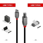 Lindy USB 2.0 Cable USB-C male - USB-B Μαύρο 2m 36942 - Image 3