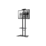 Newstar PLASMA-M1700ES Δαπέδου έως 55" και 35kg