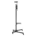 Newstar PLASMA-M1700ES Δαπέδου έως 55" και 35kg - Image 4