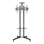 Newstar PLASMA-M1700ES Δαπέδου έως 55" και 35kg - Image 5