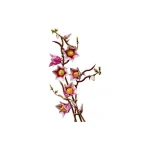 LEGO Botanical Collection Magnolia Branches για 18+ Ετών 435τμχ 11510 - Image 5