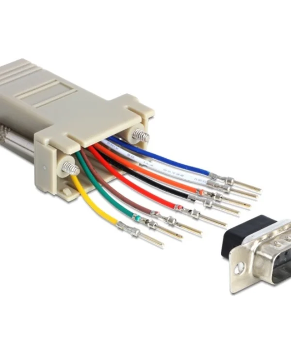 DeLock Μετατροπέας Serial male σε RJ-45 female Λευκό (65462)