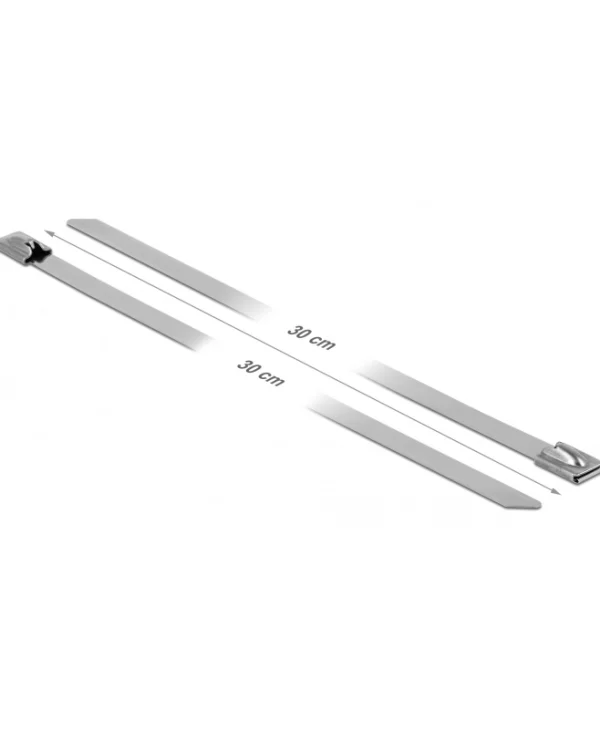DeLock Μεταλλικά Δεματικά Καλωδίων 300x7.9mm Ασημί 10τμχ 18772