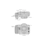 Blackmagic Design Βιντεοκάμερα Cinema @ 60fps Αισθητήρας CMOS Αποθήκευση σε Κάρτα Μνήμης με Οθόνη Αφής 5" και HDMI BM-CINECAM60KLFL - Image 7