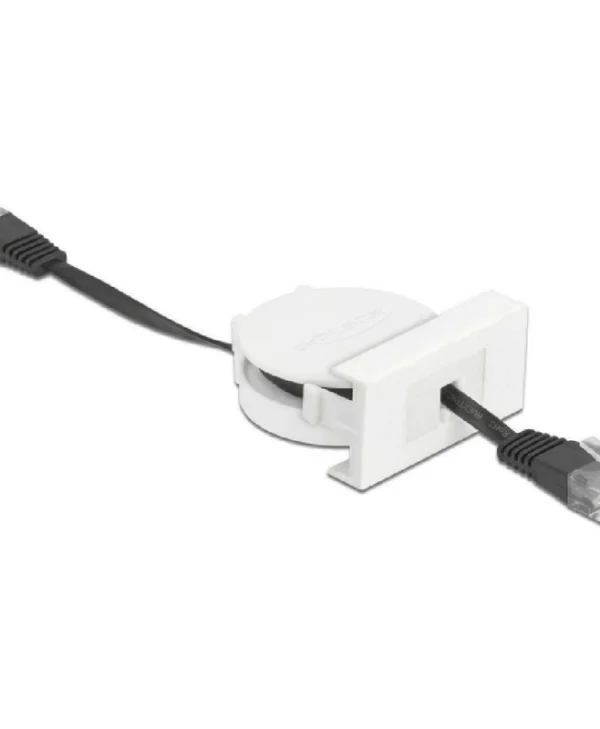 DeLock Easy 45 1τμχ 81361