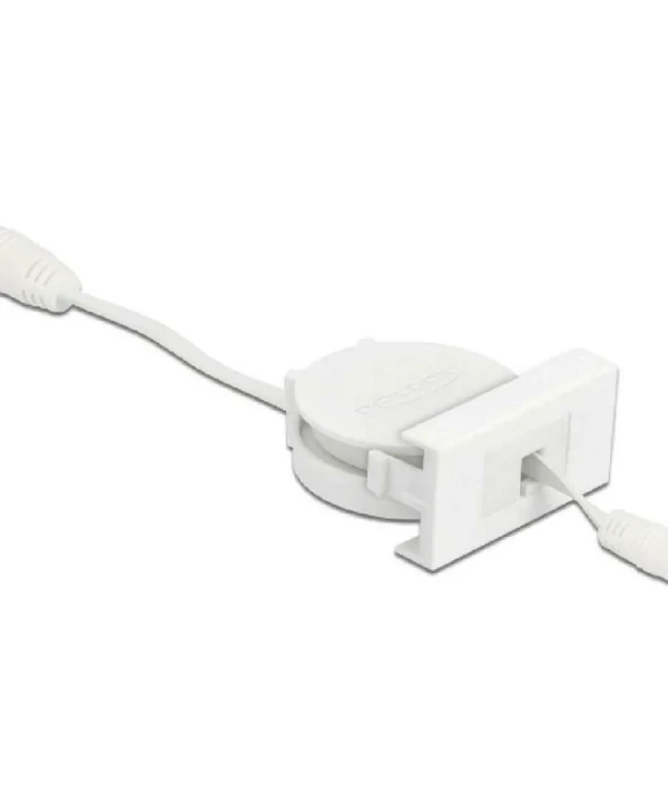 DeLock Easy 45 1τμχ 81377