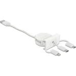 DeLock Regular USB to Lightning / Type-C / micro USB Cable Λευκό 0.50m (81375)