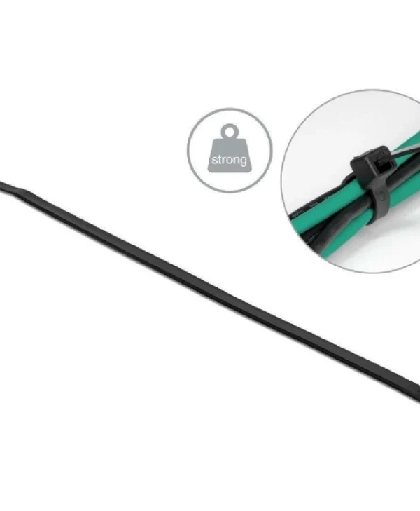 DeLock Δεματικά Καλωδίων 300x4.8mm Μαύρο 100τμχ 19561