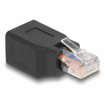 DeLock Μετατροπέας RJ-45 female σε RJ-45 female 1τμχ 66991