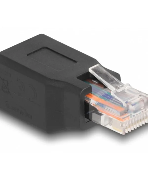 DeLock Μετατροπέας RJ-45 female σε RJ-45 female 1τμχ 66991