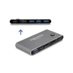 DeLock KVM & Data Switch 18646