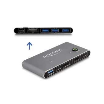 DeLock KVM & Data Switch 18646
