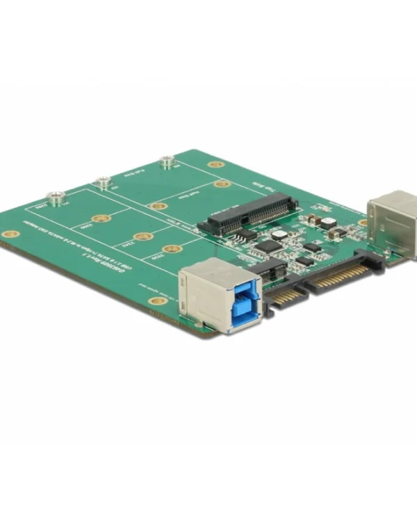 DeLock Converter SATA/USB 3.1 Type-B female to M.2/mSATA Converter Μαύρο 62732