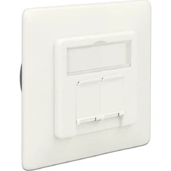 DeLock Διπλή Πρίζα Δικτύου RJ45 με Πλαίσιο Τύπου Cat6 σε Λευκό Χρώμα 86195