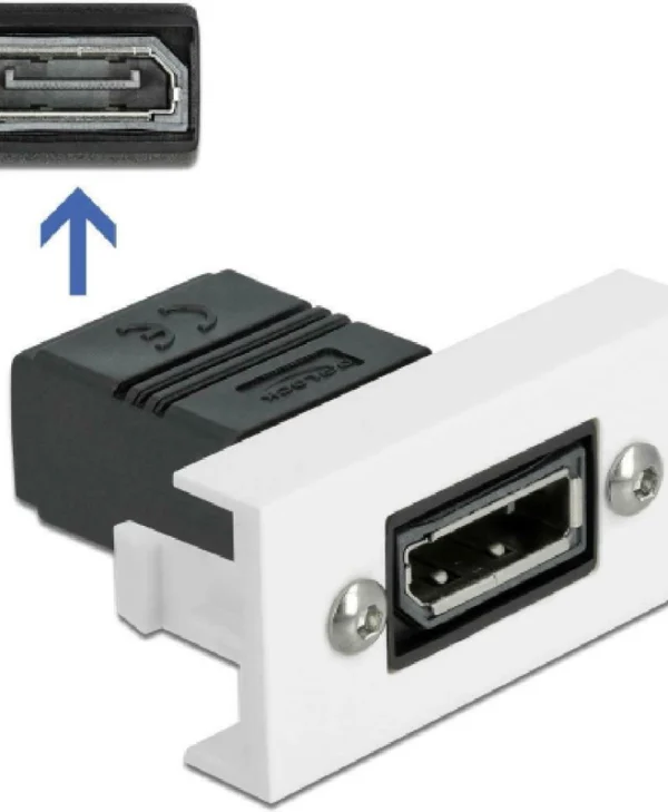 DeLock Easy 45 1τμχ 81305