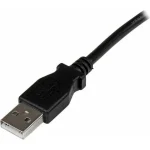 StarTech USB 2.0 Cable USB-A male - USB-B male Μαύρο 2m (USBAB2MR) - Image 2