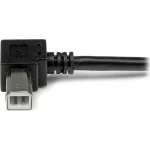 StarTech USB 2.0 Cable USB-A male - USB-B male Μαύρο 2m (USBAB2MR) - Image 3