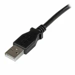 StarTech USB 2.0 Cable USB-A male - USB-B male Μαύρο 2m (USBAB2ML) - Image 2