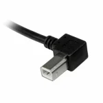 StarTech USB 2.0 Cable USB-A male - USB-B male Μαύρο 2m (USBAB2ML) - Image 3