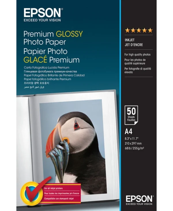 Epson Premium Glossy Photo Paper A4 255gr 50 Φύλλα C13S041624