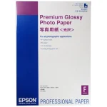 Epson Premium Glossy Photo Paper A2 255gr 25 Φύλλα C13S042091