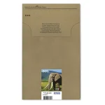 Epson 24XL Color Multipack Γνήσιο Πακέτο Μελανιών Εκτυπωτή InkJet Πολλαπλό (Color) (C13T243845) C13T24384510 - Image 2