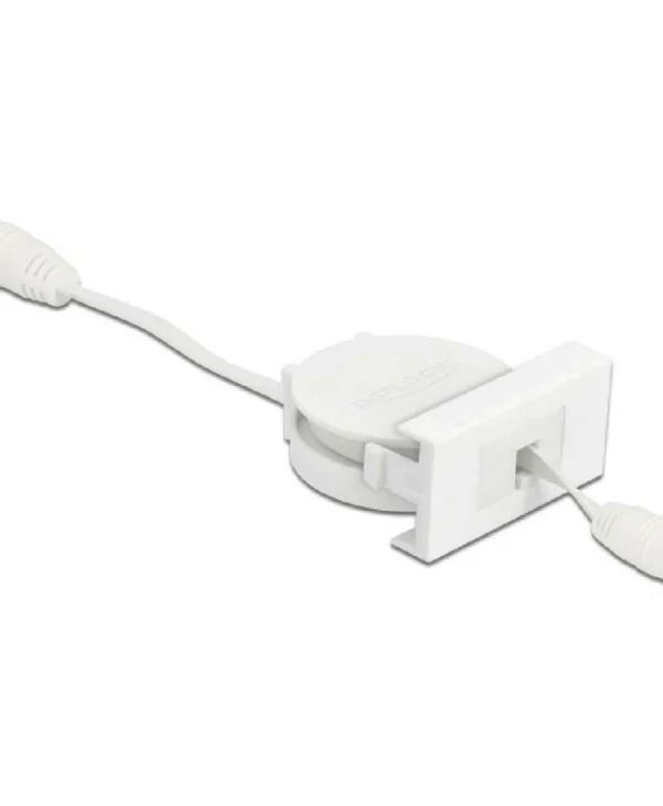 DeLock Easy 45 1τμχ 81376