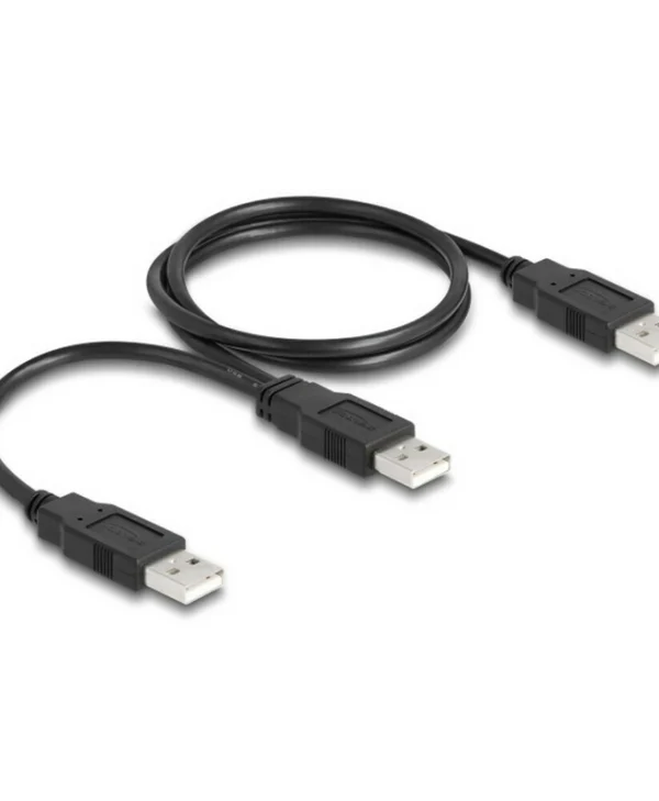 DeLock USB 2.0 Cable USB-A male - 2x USB-A male Μαύρο 0.7m (80000)
