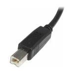 StarTech USB 2.0 Cable USB-A male - USB-B male 5m (USB2HAB5M) - Image 2