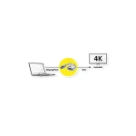 Roline Μετατροπέας mini DisplayPort male σε mini DisplayPort / HDMI female Χρυσό 1τμχ 12.03.3175 - Image 3