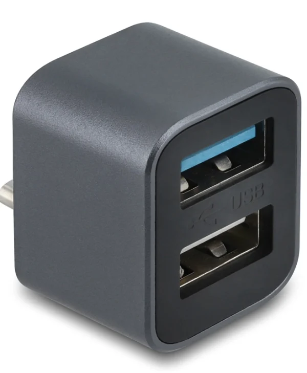 Delock Mini Usb Hub 64359 2x Θυρών Usb 3.2 10gbps Usb-c Σύνδεση Γκρι