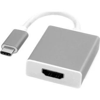 Roline Μετατροπέας USB-C male σε HDMI female Ασημί 1τμχ 12.03.3210-10