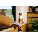 LEGO Ideas Orange Cat για 18+ Ετών 1755τμχ 21376 - Image 4