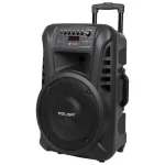 Azusa Ηχείο Karaoke με Ασύρματα Μικρόφωνα DM-0135EU Μαύρο LEC-MIK0135EU