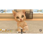 Little Friends: Dogs & Cats (Code In A Box) Switch Game - Image 5