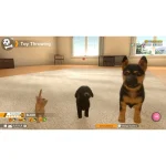 Little Friends: Dogs & Cats (Code In A Box) Switch Game - Image 6