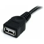 StarTech USB 2.0 Cable USB-A male - USB-A female Μαύρο 3m (USBEXTAA10BK) - Image 2