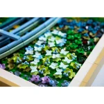 LEGO Art Claude Monet – Bridge over a Pond of Water Lilies για 18+ Ετών 3179τμχ 31220 - Image 10