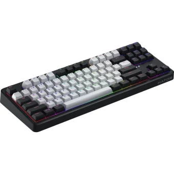 HATOR Rockfall 3 Ασύρματο Gaming Μηχανικό Πληκτρολόγιο Tenkeyless με Hator Aurum Orange διακόπτες και RGB φωτισμό (Αγγλικό US) 27611