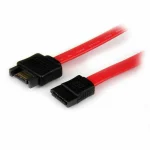 StarTech 7-Pin SATA III - 7-Pin SATA III Cable 30cm Κόκκινο (SATAEXT30CM) - Image 3
