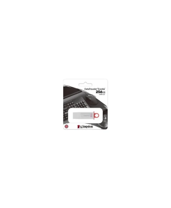Kingston Datatraveler Exodia 256GB USB 3.2 Stick Ασημί KC-U2G256-5R