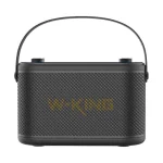 W-King Ηχείο Karaoke με Ασύρματα Μικρόφωνα και Εφέ Φωτισμού H10 Μαύρο H10-BLK