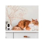 Arenti P3TT-EU IP Dual Κάμερα Παρακολούθησης Wi-Fi Full HD+ 4MP με Αμφίδρομη Επικοινωνία arp3tt - Image 8