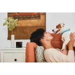 Petcube Play 2 Action Camera HD (720p) Μαύρη 1257665 - Image 6