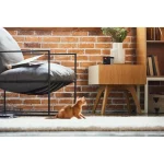 Petcube Play 2 Action Camera HD (720p) Μαύρη 1257665 - Image 7