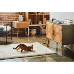 Petcube Play 2 Action Camera HD (720p) Μαύρη 1257665 - Image 11